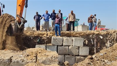 إزالة التعديات على الأراضي الزراعية بطريق رافد جمصة (صور) 