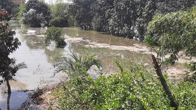 تفاصيل انهيار جسر ترعة السويس بالإسماعيلية.. غرق 127 منزلا وقطعة أرض.. المحافظة تدفع بعشرات اللوادر.. والأهالي: الري السبب (فيديو وصور)