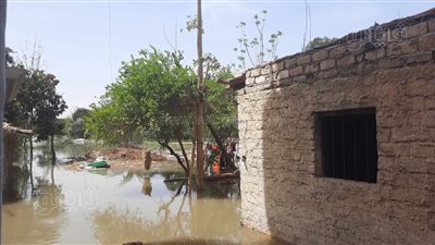 انتشال جثة شاب من ترعة في القليوبية 