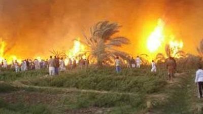 نفوق 5 آلاف كتكوت، تفاصيل معاينة حريق اندلع في مزرعة دواجن بـ 6 أكتوبر