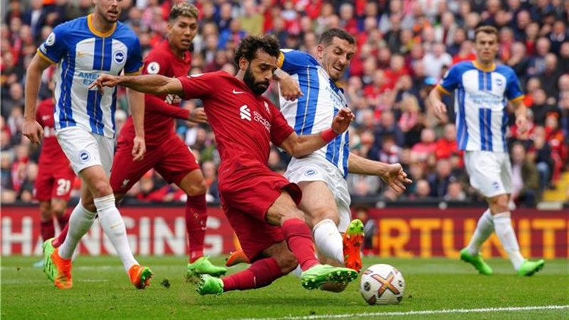 مباراة ليفربول وبرايتون،