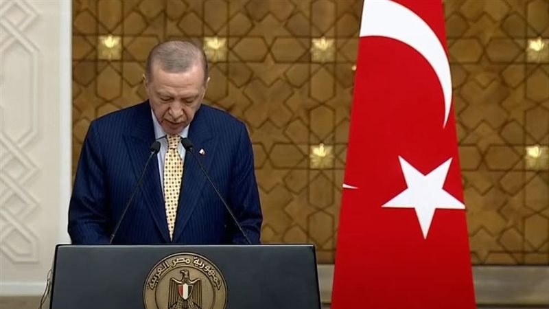 أردوغان، فيتو 