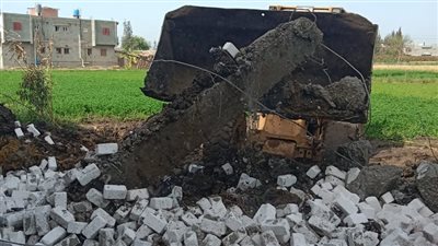 إزالة حالتي تعد على الأراضي الزراعية في البحيرة 