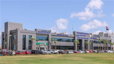 حركة السفن والبضائع في ميناء دمياط خلال 24 ساعة