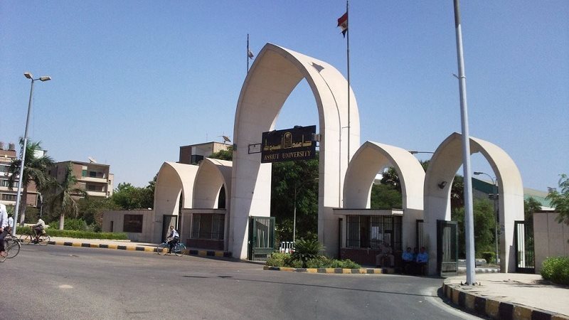 جامعة أسيوط، فيتو