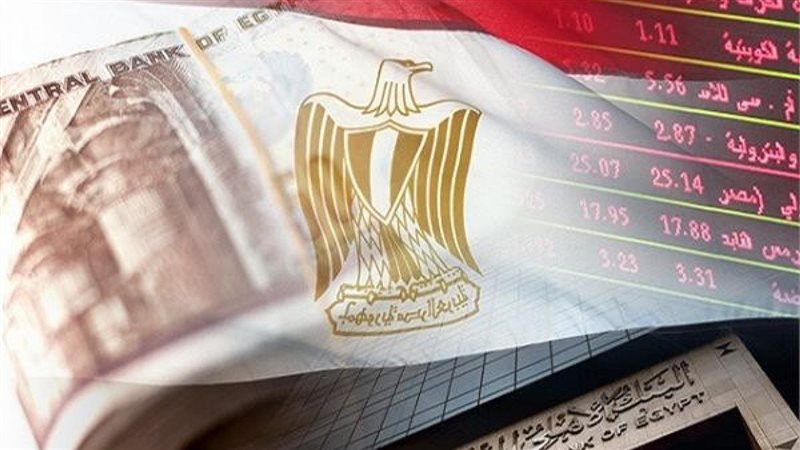 القطاع المصرفي المصري،فيتو