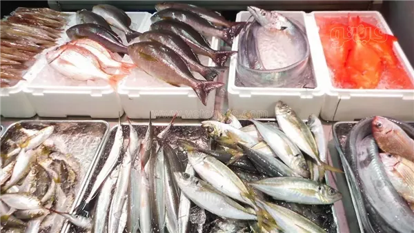 أسعار الأسماك اليوم، ارتفاع سعر البلطي والسردين في سوق العبور
