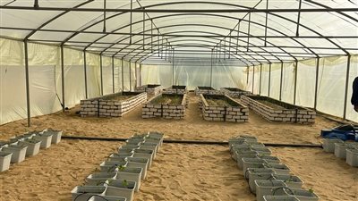 البحث العلمي تتابع مُخرجات المزرعة البحثية النموذجية لتطبيقات التكنولوجيات الزراعية