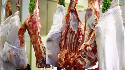 هل انخفضت أسعار السلع والدواجن والبيض بالأسواق مع تطبيق مبادرة خفض الأسعار؟