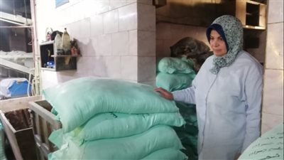 التحفظ على 16 طن أغذية وتحرير محاضر تموينية في الدقهلية 