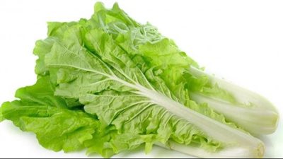 فوائد الخس، يجب تناوله بجانب أكلات العيد