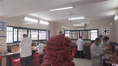 تجديد الاعتماد الدولي لمعامل مشروع حصر ومكافحة مرض العفن البني في البطاطس