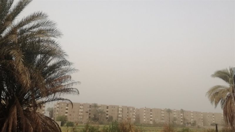 حالة الطقس، فيتو