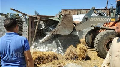 إزالة التعديات على الأراضي الزراعية وأملاك الدولة بقلين في كفر الشيخ