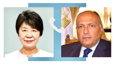وزير الخارجية يناقش آخر تطورات الأوضاع في غزة مع نظيرته اليابانية 