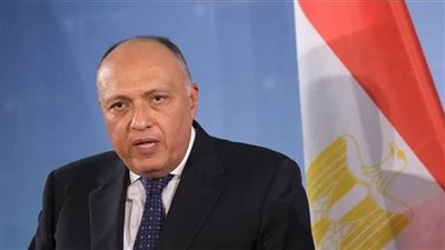 سامح شكري يتلقى اتصالًا هاتفيًا من وزير الخارجية الأمريكي