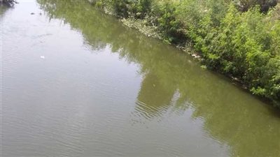 انتشال جثة طفل غارق داخل ترعة النقراشية بالمنوفية