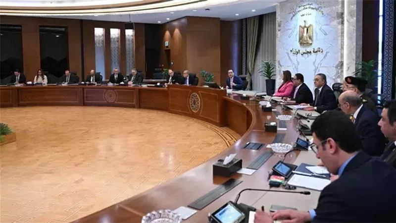 مجلس الوزراء ,فيتو