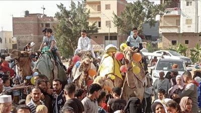بالحصان والجمال، زفة لحفظة القرآن الكريم تجوب قرية السلام بالدقهلية (صور) 