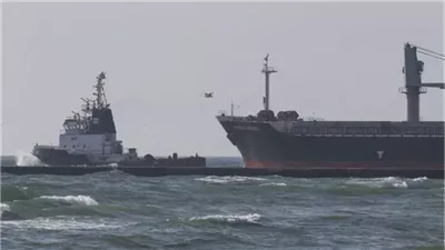 رغم التشكيك فى الجودة، روسيا تصدر شهادات الصحة النباتية لشحنة قمح متجهة إلى مصر 