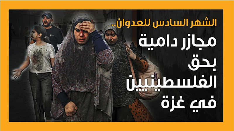 غزة، فيتو