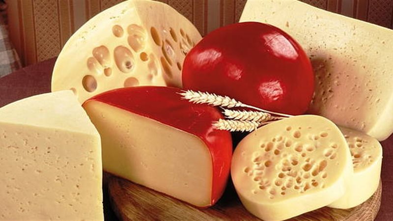 أسعار الألبان اليوم،