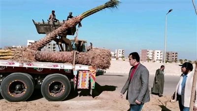 رئيس جهاز طيبة بالأقصر يتابع أعمال الزراعة والتجميل بالمدينة