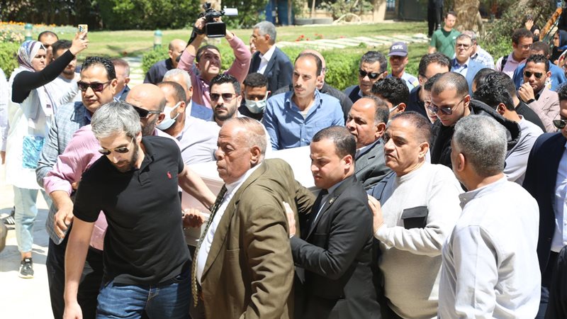 فتحى سرور، فيتو