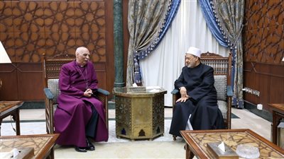 شيخ الأزهر: قلوبنا تنفطر على ما أصاب إخواننا في غزة 