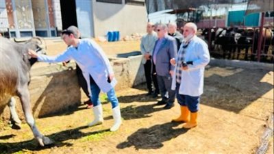 تحصين 120 ألف رأس ماشية ضد الحمى القلاعية والوادى المتصدع في الدقهلية