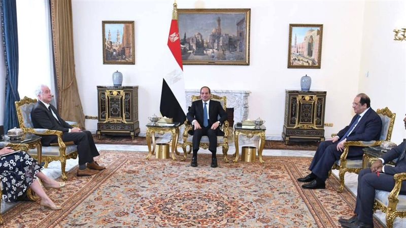 لقاء السيسي ومدير