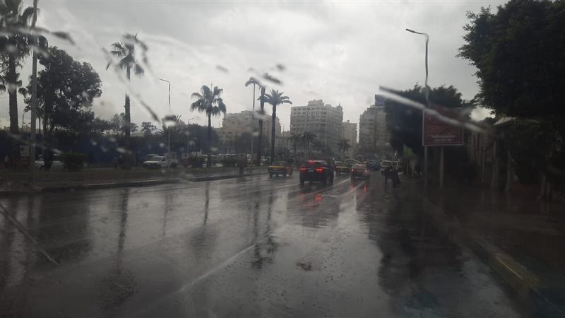 طوارئ بالإسكندرية،