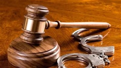 حبس سائق سيارة نقل تسبب فى إصابة 12 شخصًا فى حادث التجمع الأول 