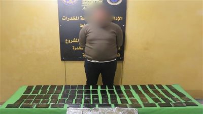 مخدرات العيد، ضبط 3 عناصر إجرامية بحوزتهم حشيش وكوكايين بـ6 ملايين جنيه بالجيزة 