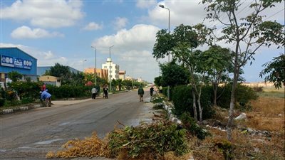 15 صورة ترصد حملات نظافة وتجميل المنطقة الصناعية في جمصة 