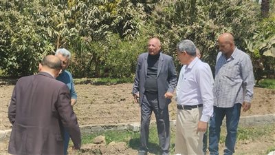 حبس وغرامة، تفاصيل عقوبة التعدي على أرض ومبانٍ مملوكة للدولة 