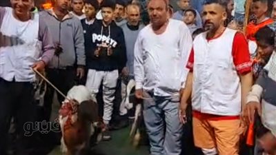 على غرار دوري المزاريطة، خروف ومعزة جائزة أفضل لاعب في دورة رمضانية بالغربية (صور)