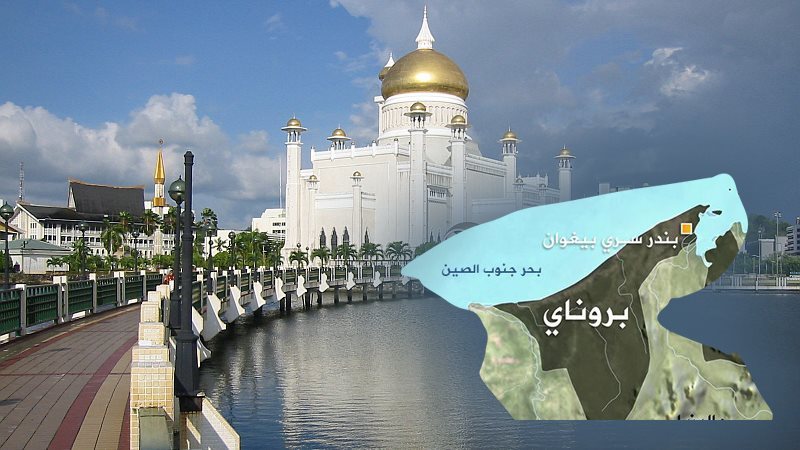  سلطنة بروناي، فيتو