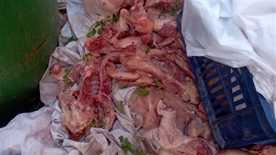 ضبط 400 كيلو دواجن وكبدة غير صالحة للاستهلاك بالمنوفية 