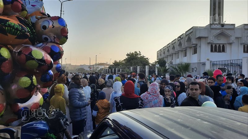 ستائر بالونات وتوزيع