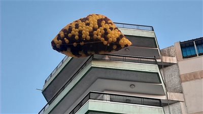  فرحة الأطفال وتهاني الكبار، ساحات الصلاة ممتلئة بالأهالي في البحيرة (بث مباشر)