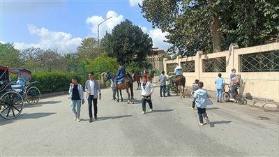بالحنطور والخيول، أهالي القليوبية يحتفلون بعيد الفطر في القناطر (صور) 