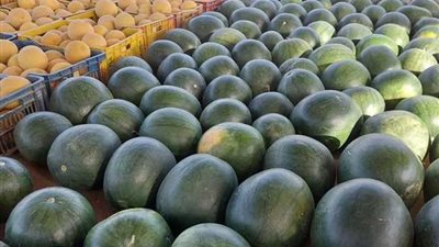 أسعار الفاكهة اليوم، البطيخ يرتفع 10 جنيهات في سوق العبور