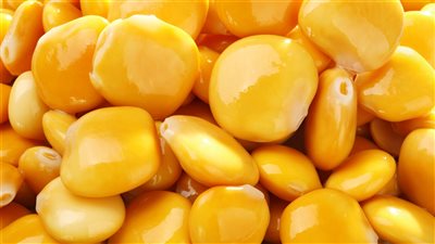 طريقة عمل الترمس، تسالي العيد الشهيرة المغذية