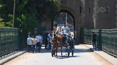 الكارتة والحصان فسحة المصريين بثاني أيام عيد الفطر في القناطر (صور)