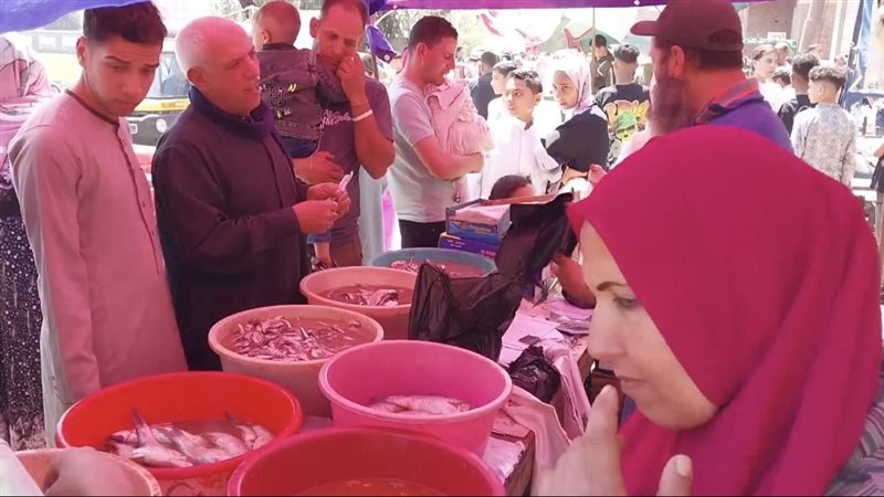 إقبال على شراء الفسيخ