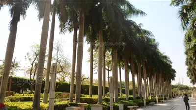 أفضل 5 أماكن لالتقاط الصور في حديقة الأزهر بعيد الفطر (صور)