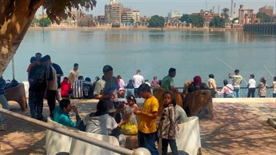 جمال النيل، منظر يجذب زوار القناطر في ثاني أيام عيد الفطر (صور) 