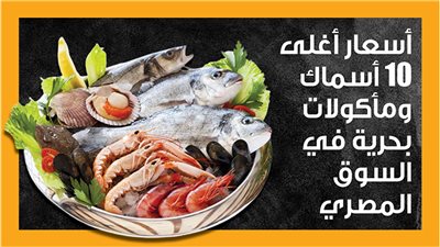 أسعار أغلى 10 أسماك ومأكولات بحرية في السوق المصري (إنفوجراف)
