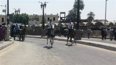 الخروج للمتنزهات، استمرار احتفال أهالي الأقصر بعيد الفطر (صور)